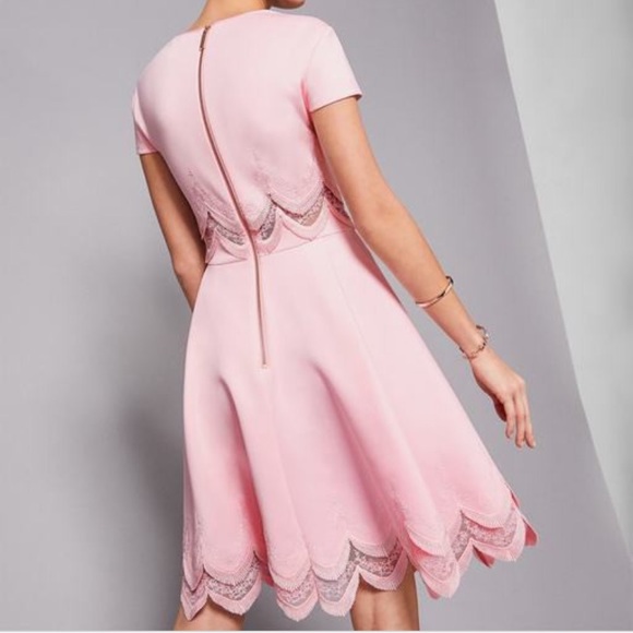 Ted Baker Pink Embroidered Skater Dress- WORN 1x! - Picture 4 of 8